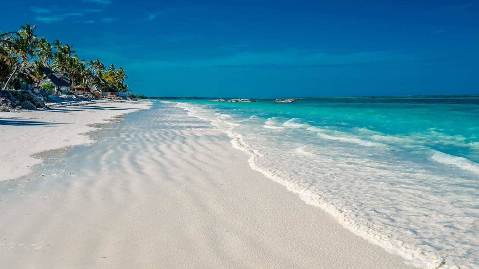 Explore the best of Zanzibar