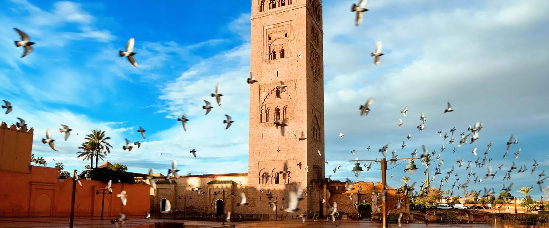 Explore the best of Morocco